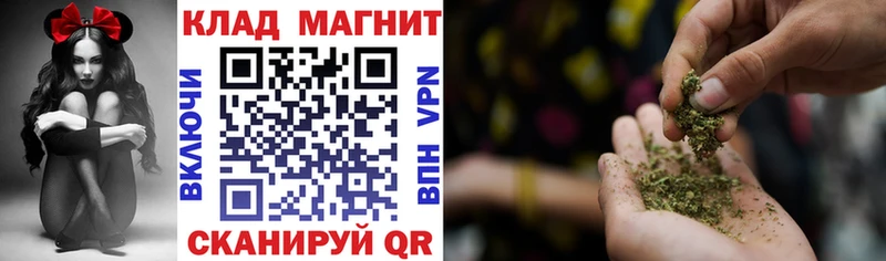 Где купить Завитинск Гашиш Конопля Alpha-PVP Мефедрон Галлюциногенные грибы Кокаин