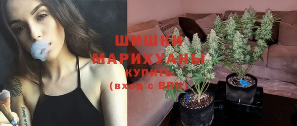 МДМА Горняк
