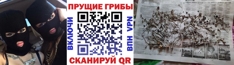 нарко площадка как зайти  Завитинск  Галлюциногенные грибы мухоморы 